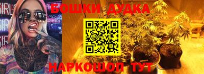 твердый Сланцы