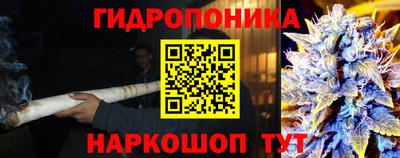 твердый Сланцы