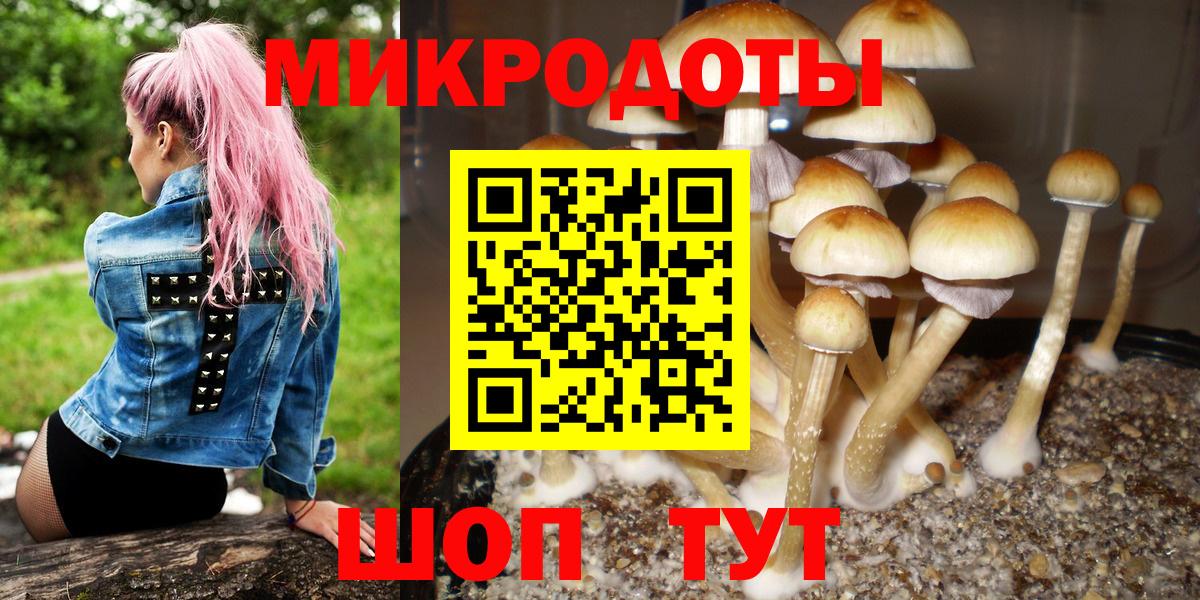 Нижневартовск  Псилоцибиновые грибы Psilocybe  Галлюциногенные грибы мухоморы  Вход с VPN 